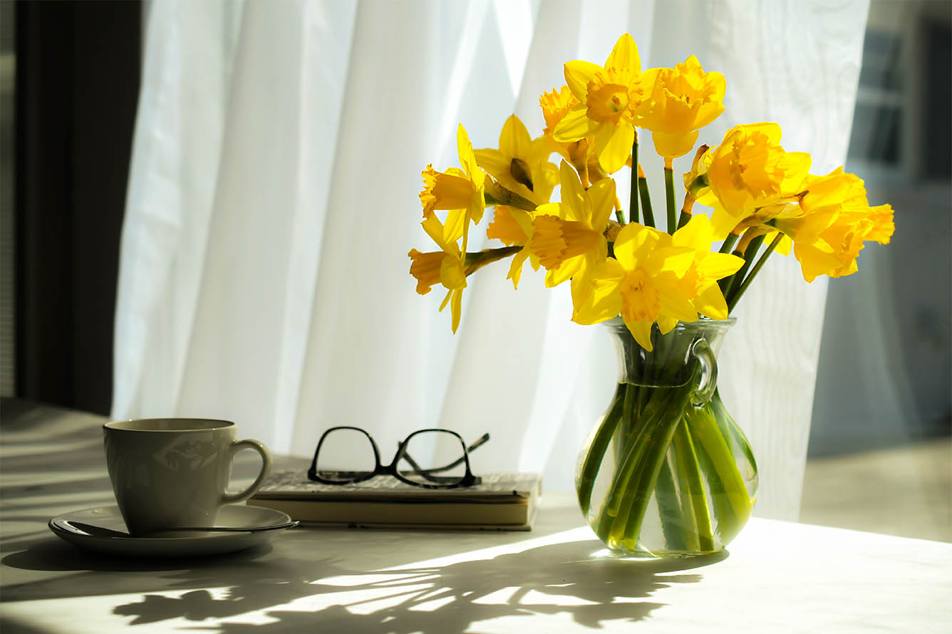 Sheer Curtains 2 Sheer curtains with daffodils flowers-harvey-blinds