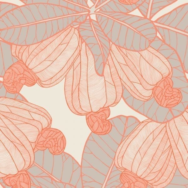 caju bright patricia braune 600x600 1-harvey-blinds