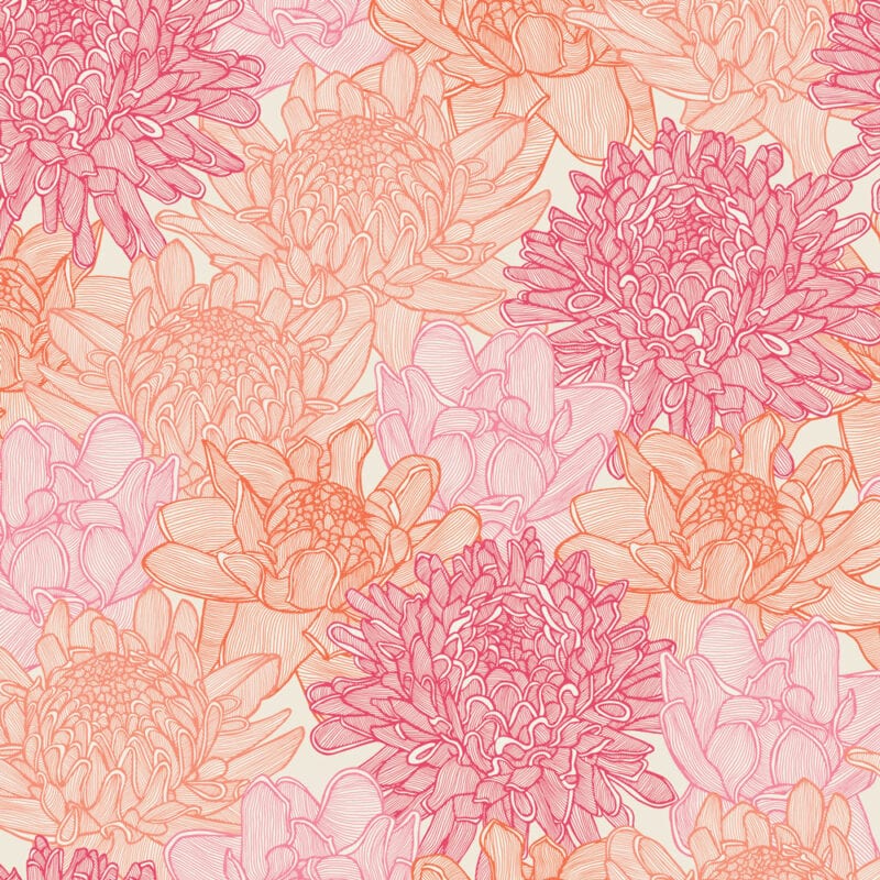 torch ginger bright patricia braune-harvey-blinds
