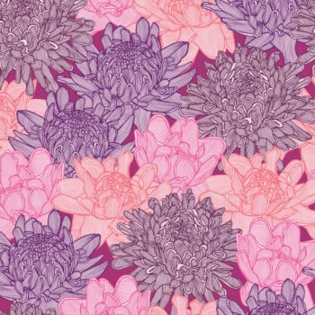 torch ginger plum patricia braune-harvey-blinds