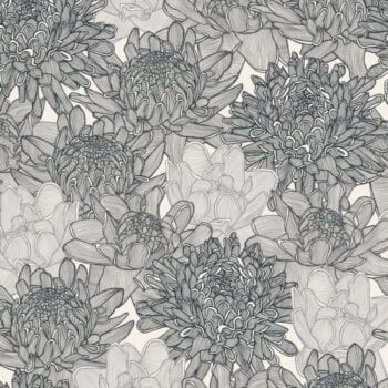 torch ginger sepia patricia braune-harvey-blinds