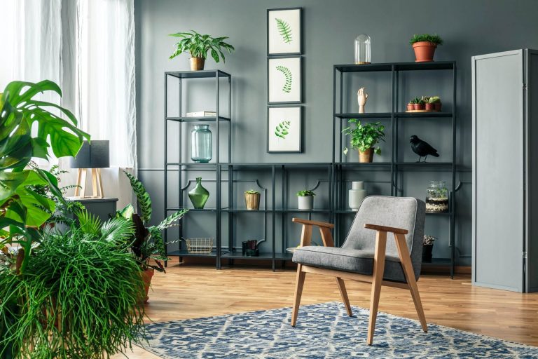 gray-armchair-on-patterned-rug-in-dark-and-elegant-living-room-i.jpg