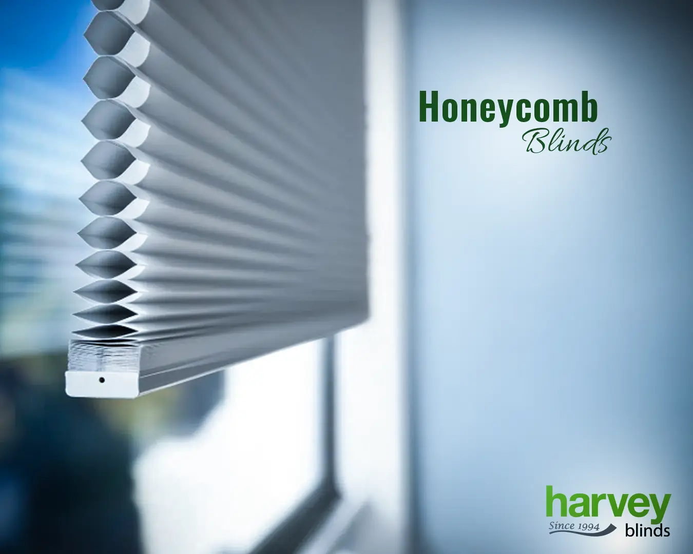 honeycomb blinds